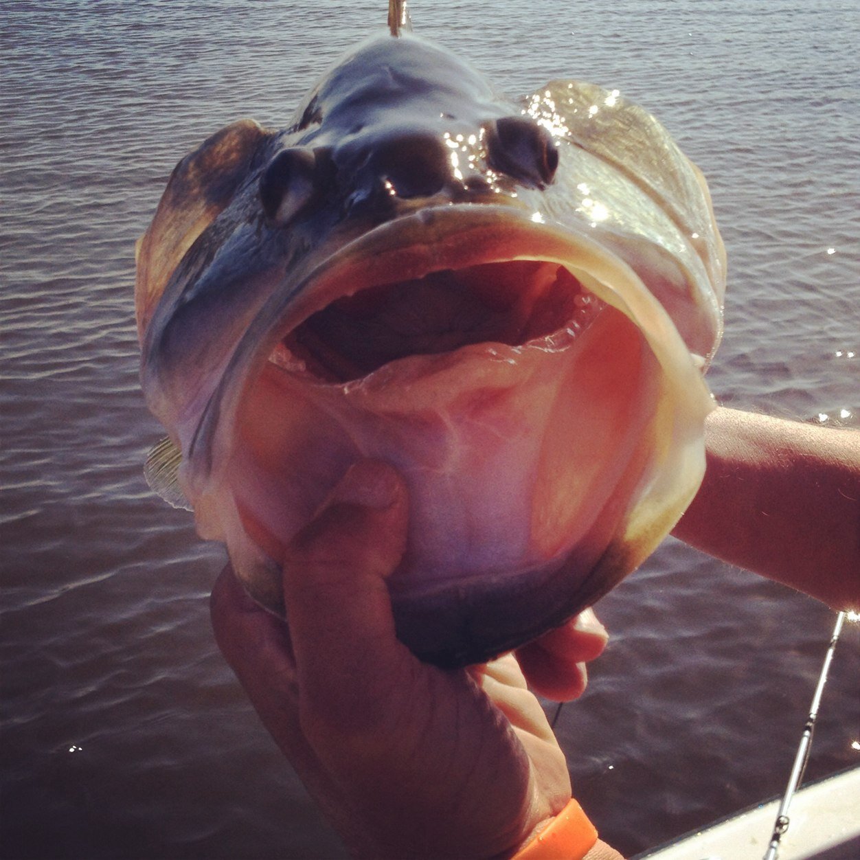 lightning_29056's profile picture. 