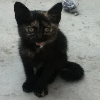 calix21's profile picture. 