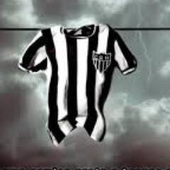 avelarleite's profile picture. TIM BETA - SIGO DE VOLTA