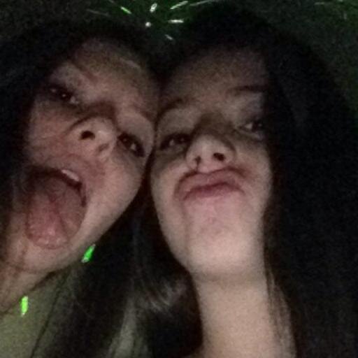 snap: giellendelavi