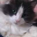 Frederick Bennett - @cooperhead14 - Twitter