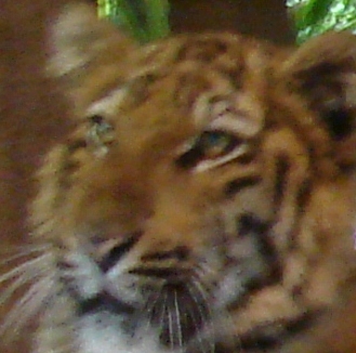 mastrip's profile picture. 