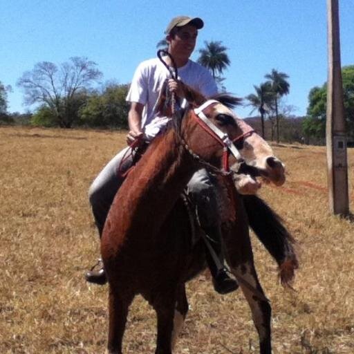 TIMBETA_brunodb's profile picture. A  arte de ser louco é jamais cometer a loucura de ser um sujeito normal