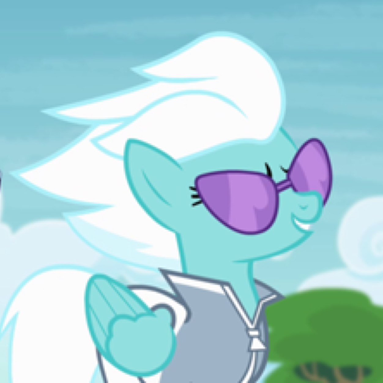 I am one of the members of the Wonderbolts! Along wit Captain @mlp_CptSpitfire.