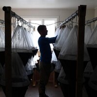 Chownlab (@chownlab) 's Twitter Profile