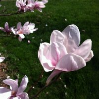 Jenn (@jenn_ryan6) 's Twitter Profile