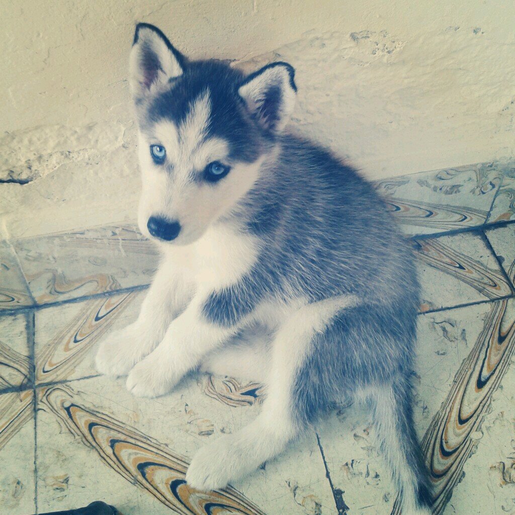 LilaYescas's profile picture. 