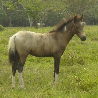 Con la fe puesta en Dios y en mi tierra Venezuela