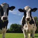 Terry Robey - @TerryRobey - Twitter