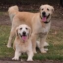 Maureen Hawes - @MoHawes22 - Twitter