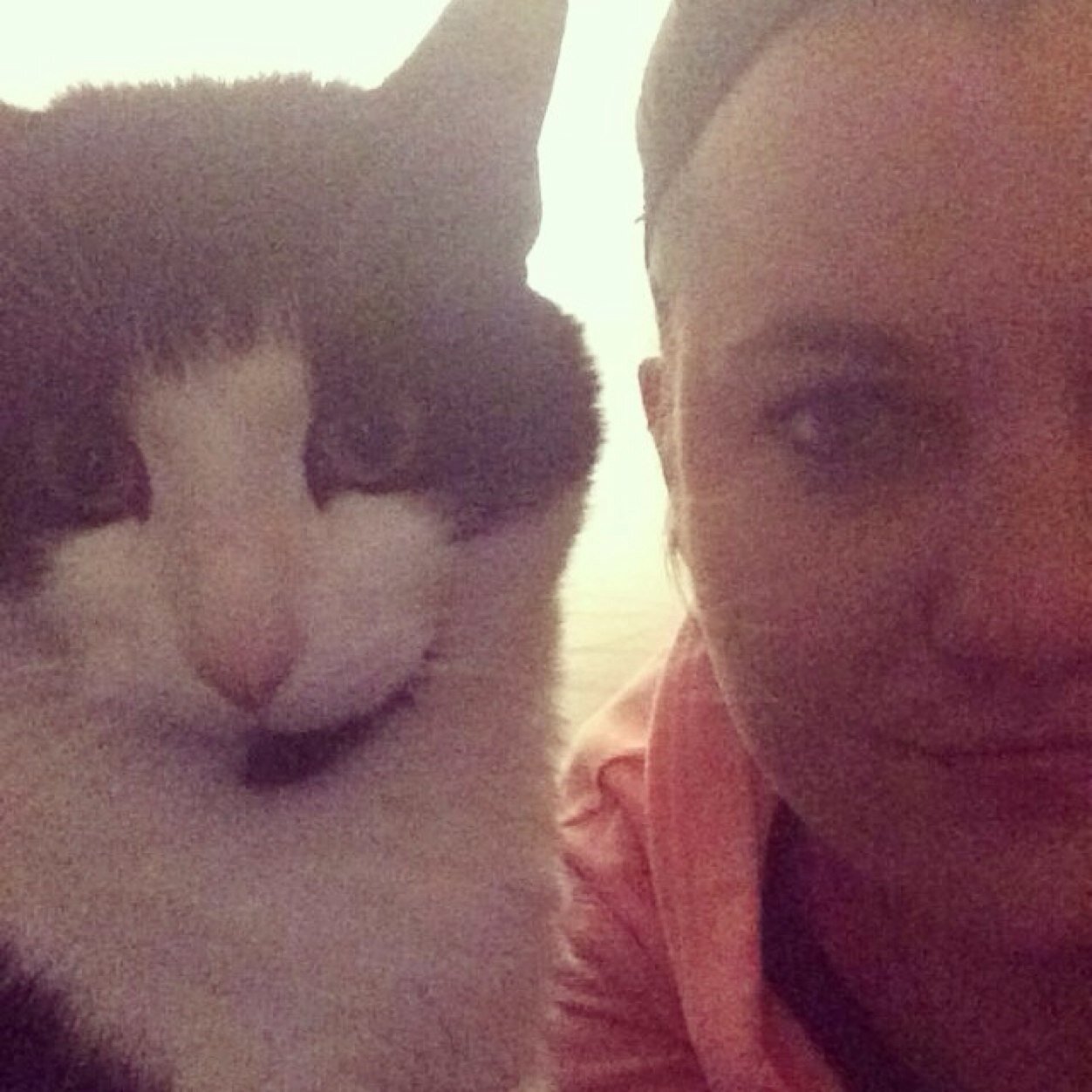 christine_pdx's profile picture. portland native and ryan kitty enthusiast. she/her