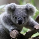 Katie Fields - @KatieSondancer - Twitter