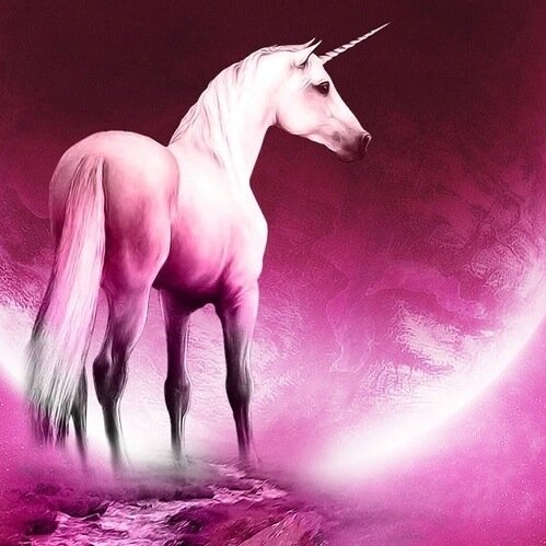 I am a librarian I love unicorns!