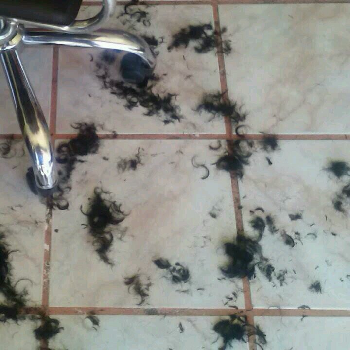 5047cd2f8c774d7's profile picture. 