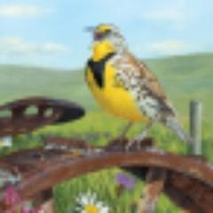 Offering over 80 environmental events: Hiking, cycling, horseback riding, birding, geology, cultural, historic tours, kids events, bats snakes and more!