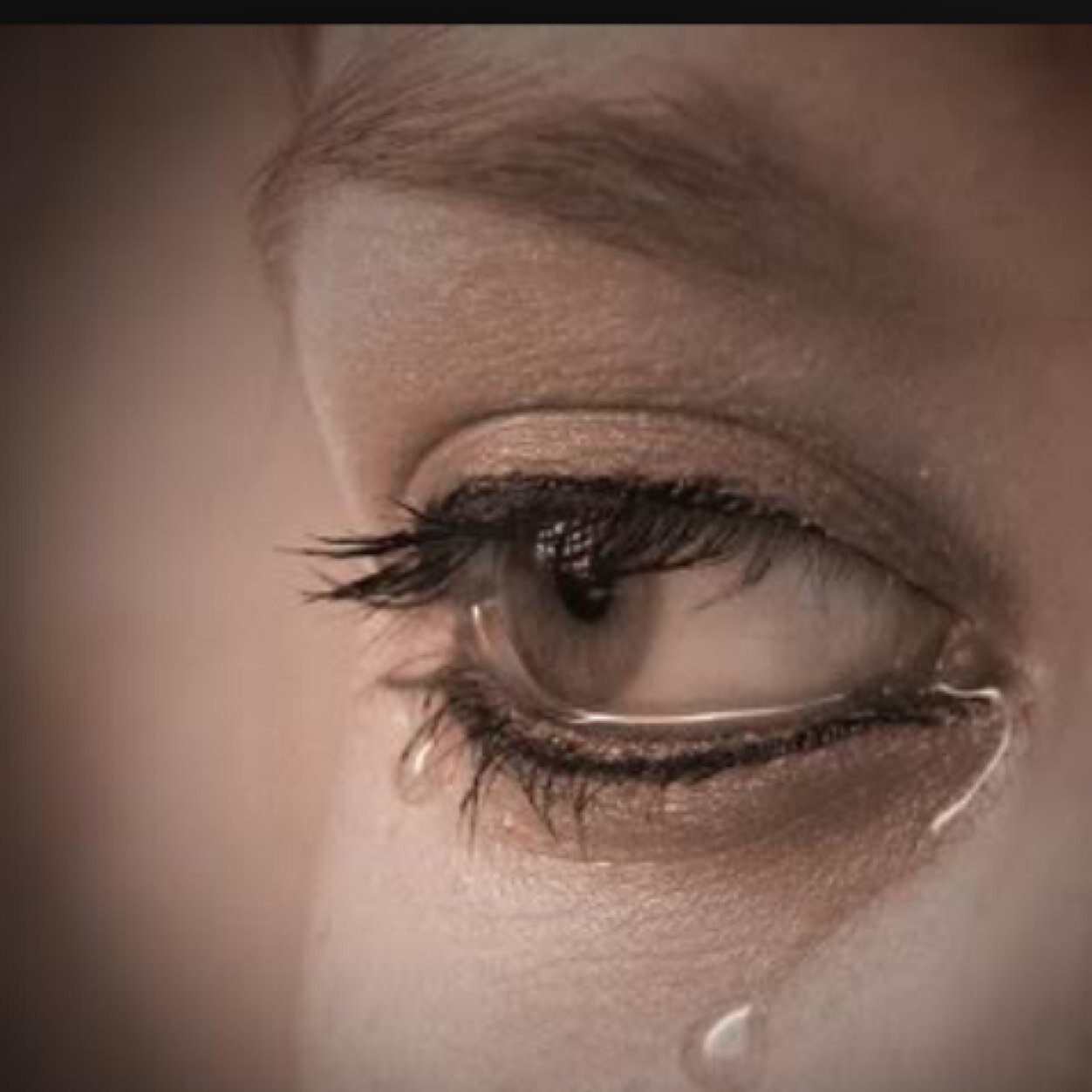 nasser122331's profile picture. الورقه عندما تسقط تذبل مع الايام وتذهب بها الرياح الى البعيد ...