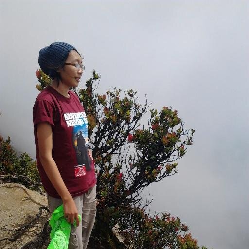 maryamNH14 Profile Picture
