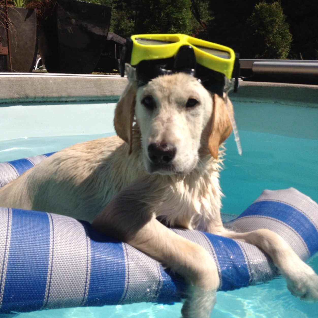 mattolney27's profile picture. Go Blue