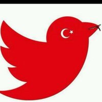 engido 🇹🇷🇹🇷🇹🇷 (@avciogluengin) Twitter profile photo