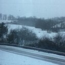 Daisy Maria - @MariaHershey487 - Twitter