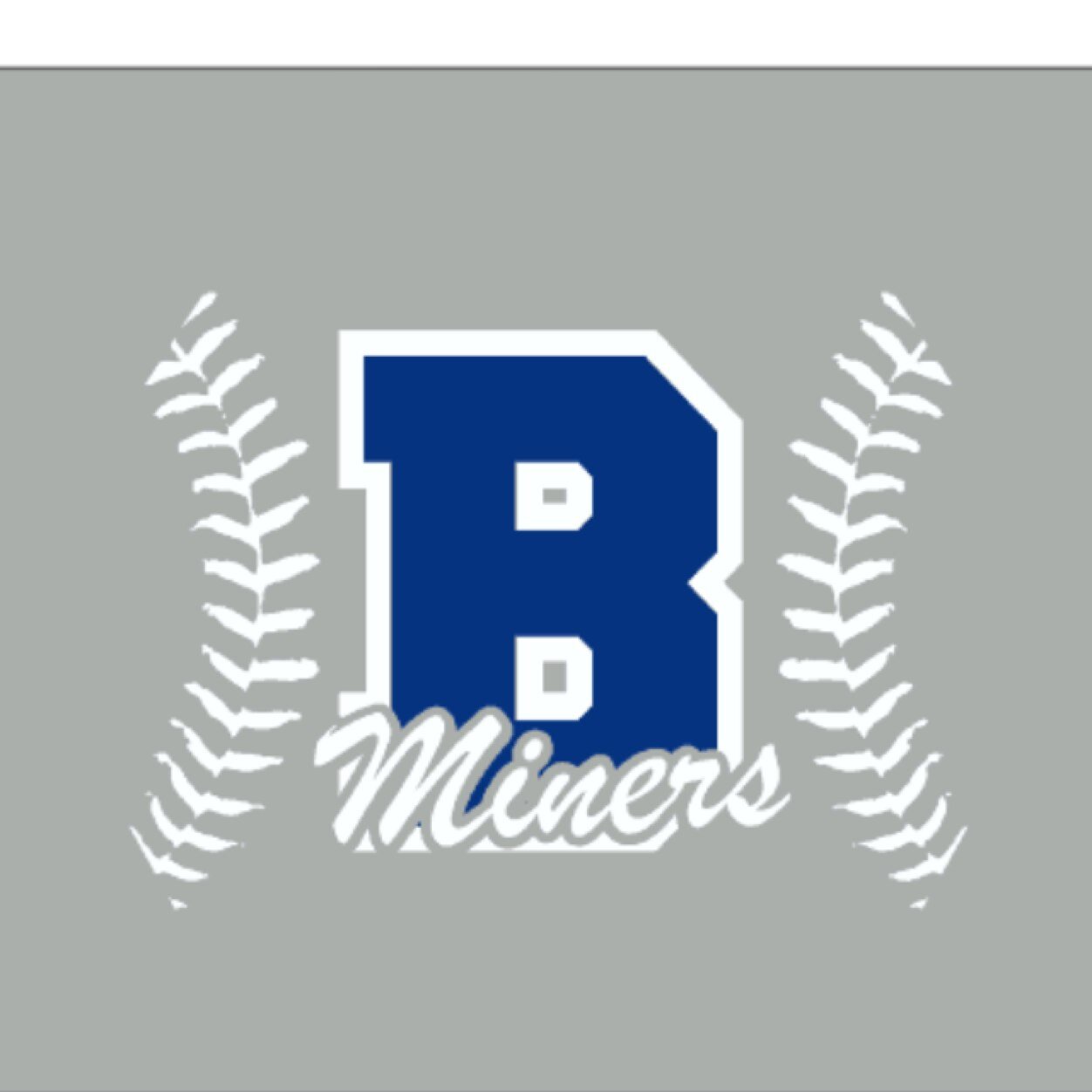 BinghamSoftball Profile