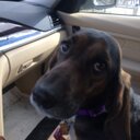 Rory Bailey - @RBGT302 - Twitter