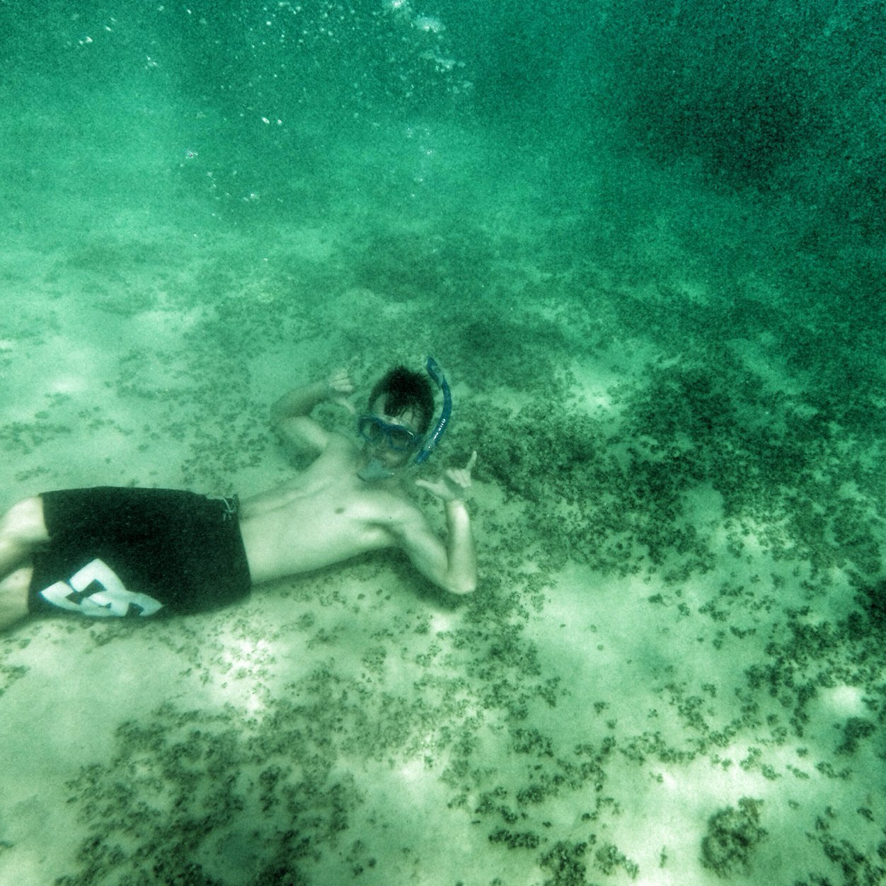 TJHartman17's profile picture. Marketing lover and sports enthusiast (Utah Jazz forever!!)