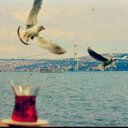 محب الخير (@0005F) Twitter