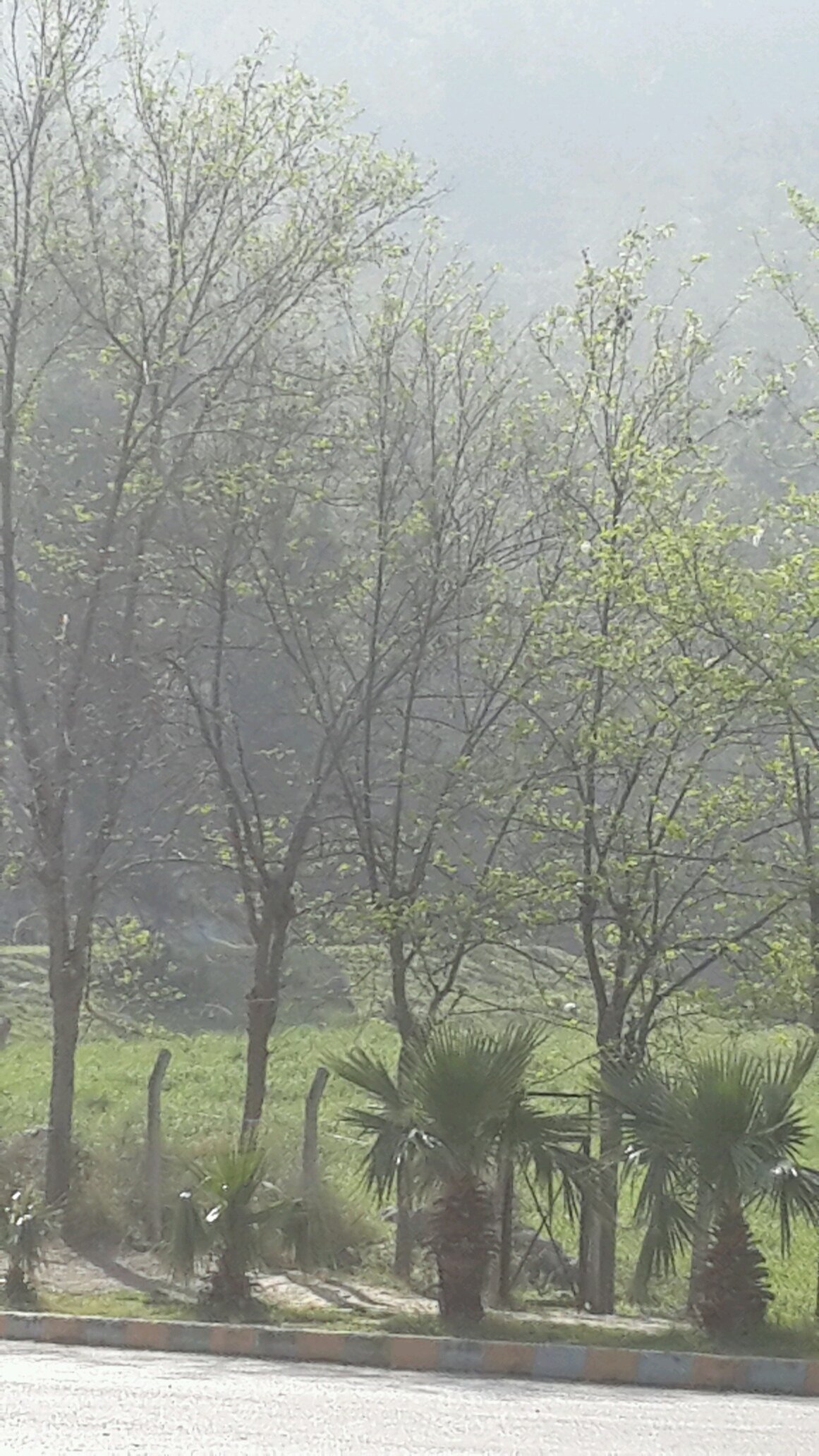 05056983648's profile picture. @st