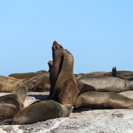 DaveJorden's profile picture. 