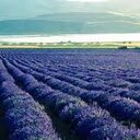 Genesis Grant - @xnyianitro - Twitter