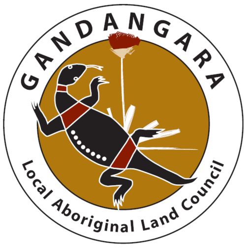 Gandangara's profile picture. Our commitment is to serve Aboriginal and Torres Strait Islander peoples and the broader community.