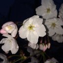 中村祐介 (@003918771) Twitter