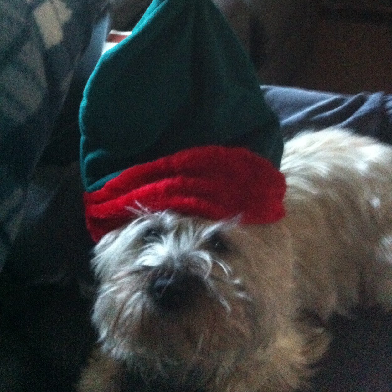 NovaZachary's profile picture. 