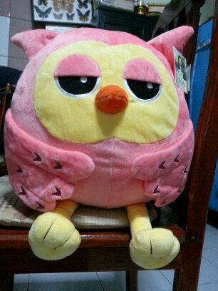 คัมแบ็คแล้ววววว ชายนี่มีคอนแล้ววว แต่ก็ไม่ได้ไปปปป เสียใจ