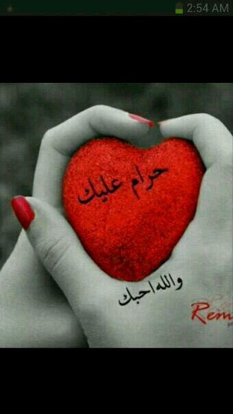 معلم الرياضيات والفيزياء