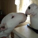 Julie Conte - @JulieConte21 - Twitter