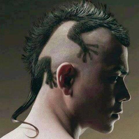 My name is Riyush Parajuli living in MItrapark..