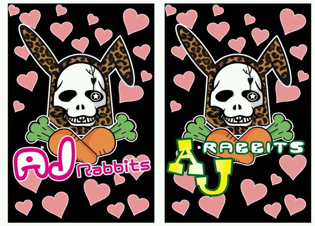 熊本Aj rabbitsメンバーの１４歳中学２年生のANNAですっ∩ω∩*`３月２２日星多祭りでデビューします!!応援してくれると嬉しいです…♡