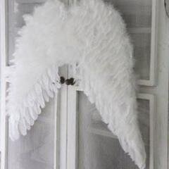 FlutterWish's profile picture. For now I'm a bit of a mystery I used to work for a record company, then worked with at risk families- my goal- to secretly make a difference in this world