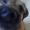 darren sell - @darren_sell - Twitter