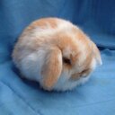 Dave Gilmore - @davegilmore2011 - Twitter