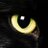 danielbermualva's profile image