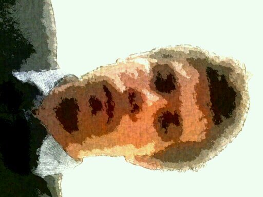 bobcnz's profile picture. 