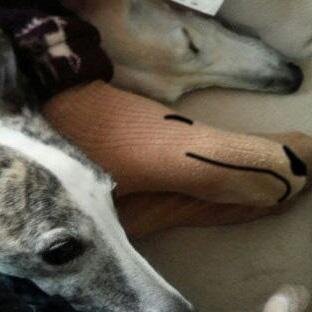 GASSY0830's profile picture. アラ還のオタク。
つむじかぜ https://t.co/HolLWsusW7

https://t.co/KYq25KB2TM