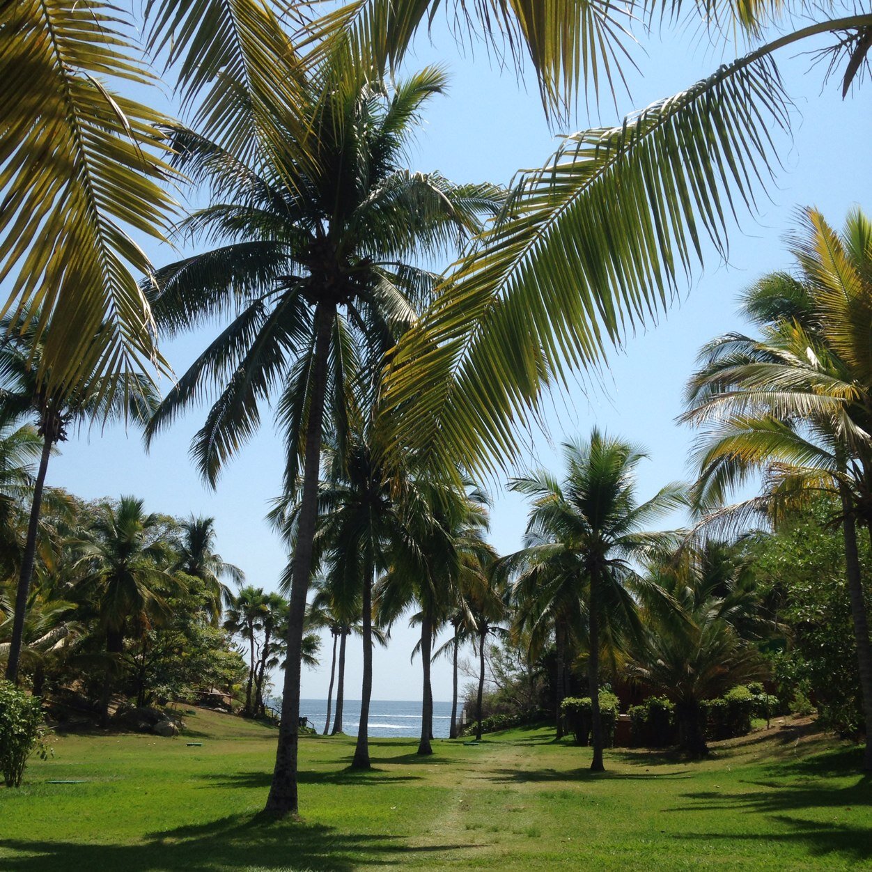 aux621's profile picture. 