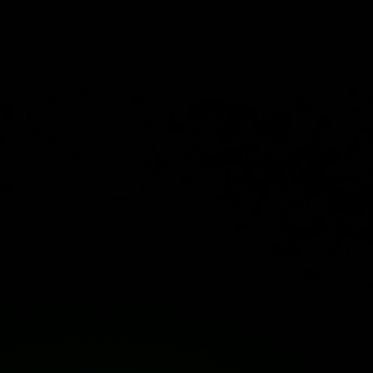 andreatralalala's profile picture. 