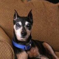 Michael Freeman (@mikalfreeman) 's Twitter Profile Photo Michael Freeman (@mikalfreeman) 's Twitter Profile Photo