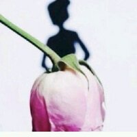 بنان. (@banan_449) Twitter profile photo
