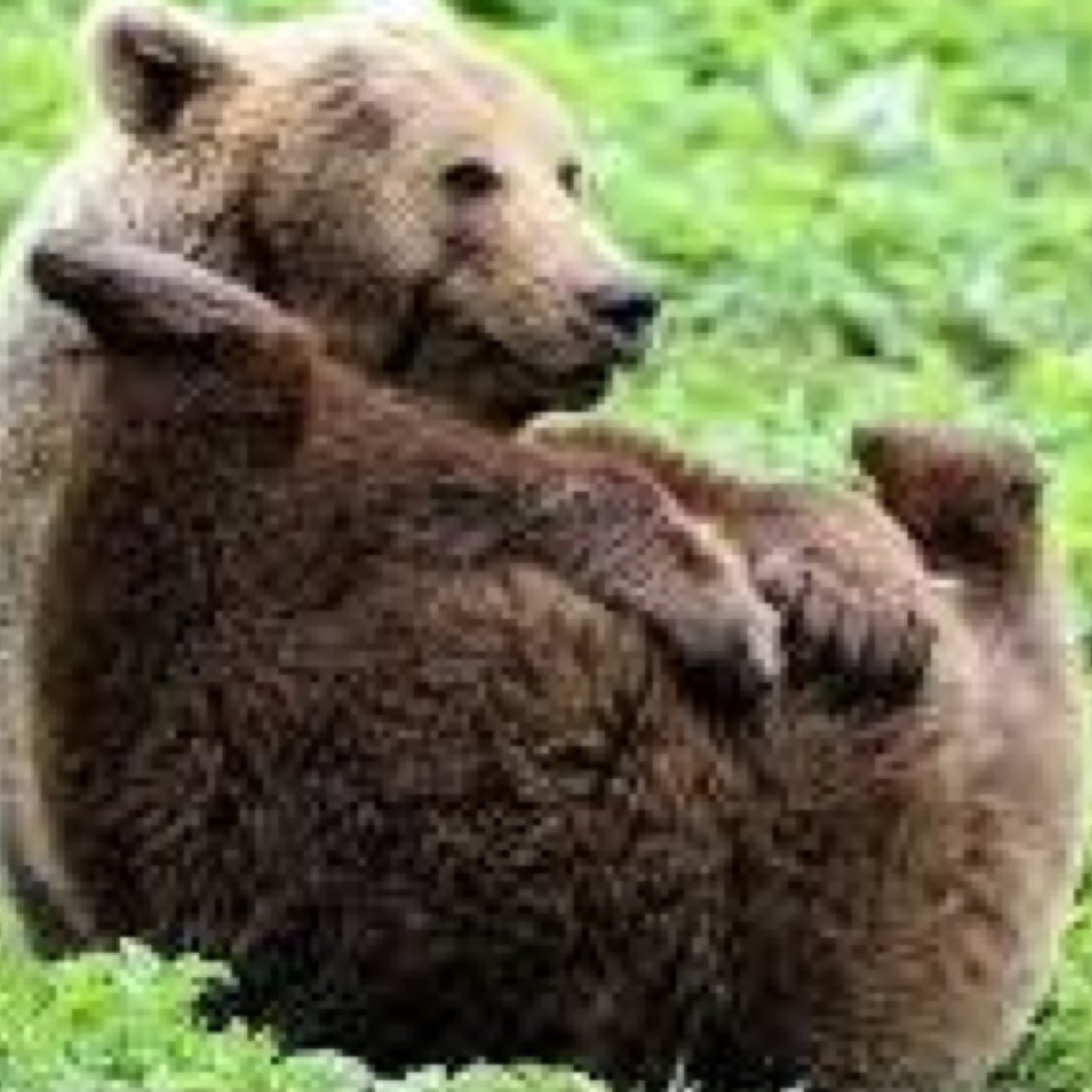 Bhjjjhgghjutggg's profile picture. Player & Designer for Aqua @.5k